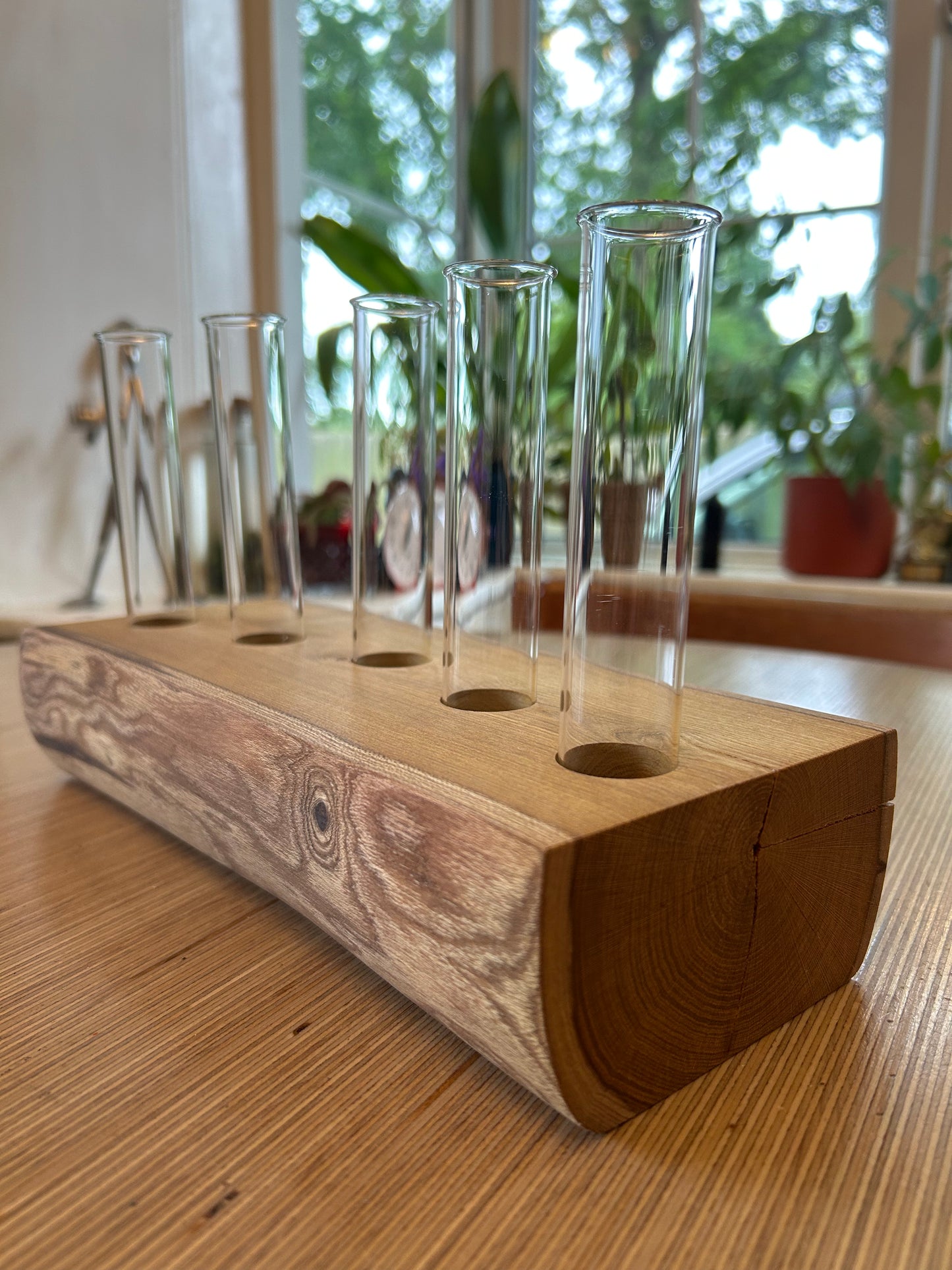 Laburnum Propagation Station / Vase