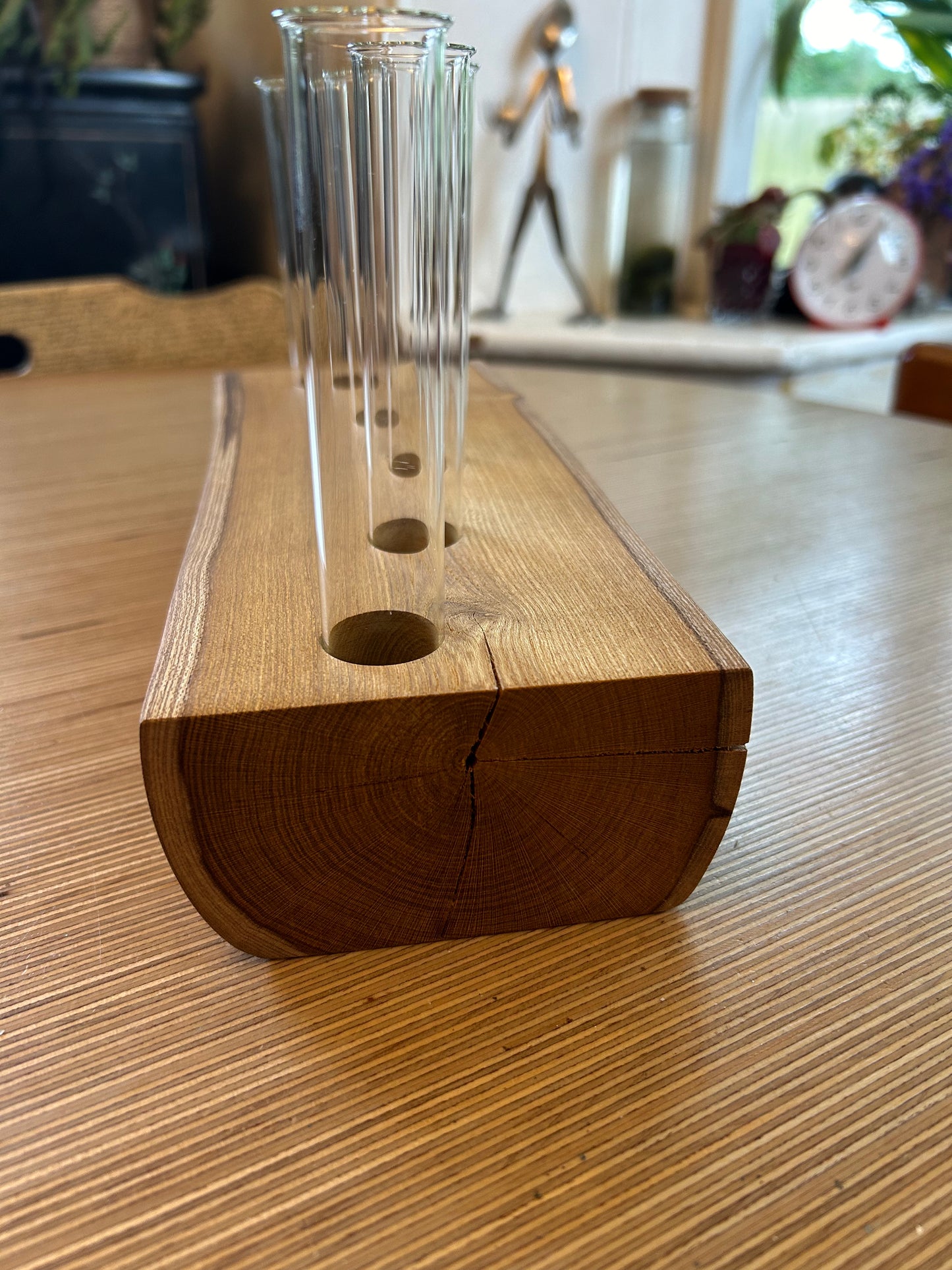 Laburnum Propagation Station / Vase