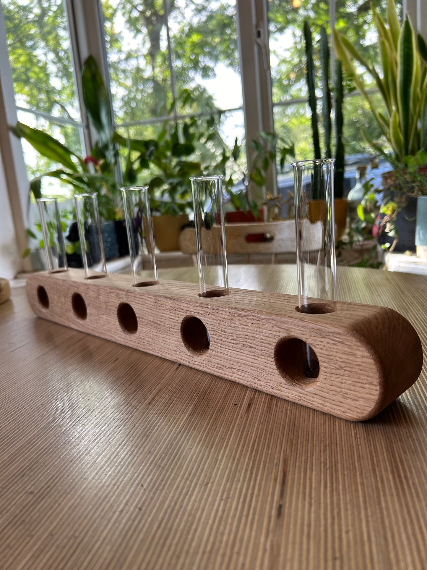 Oak Propagation Station / Vase