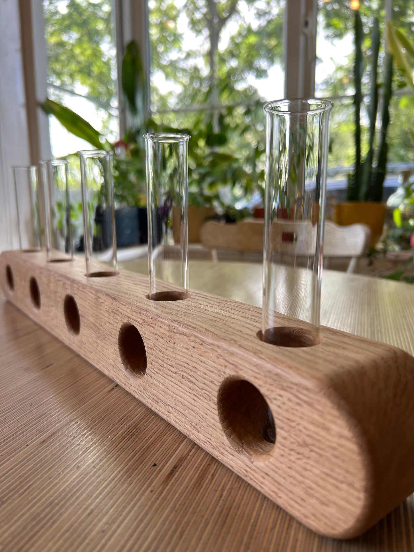 Oak Propagation Station / Vase