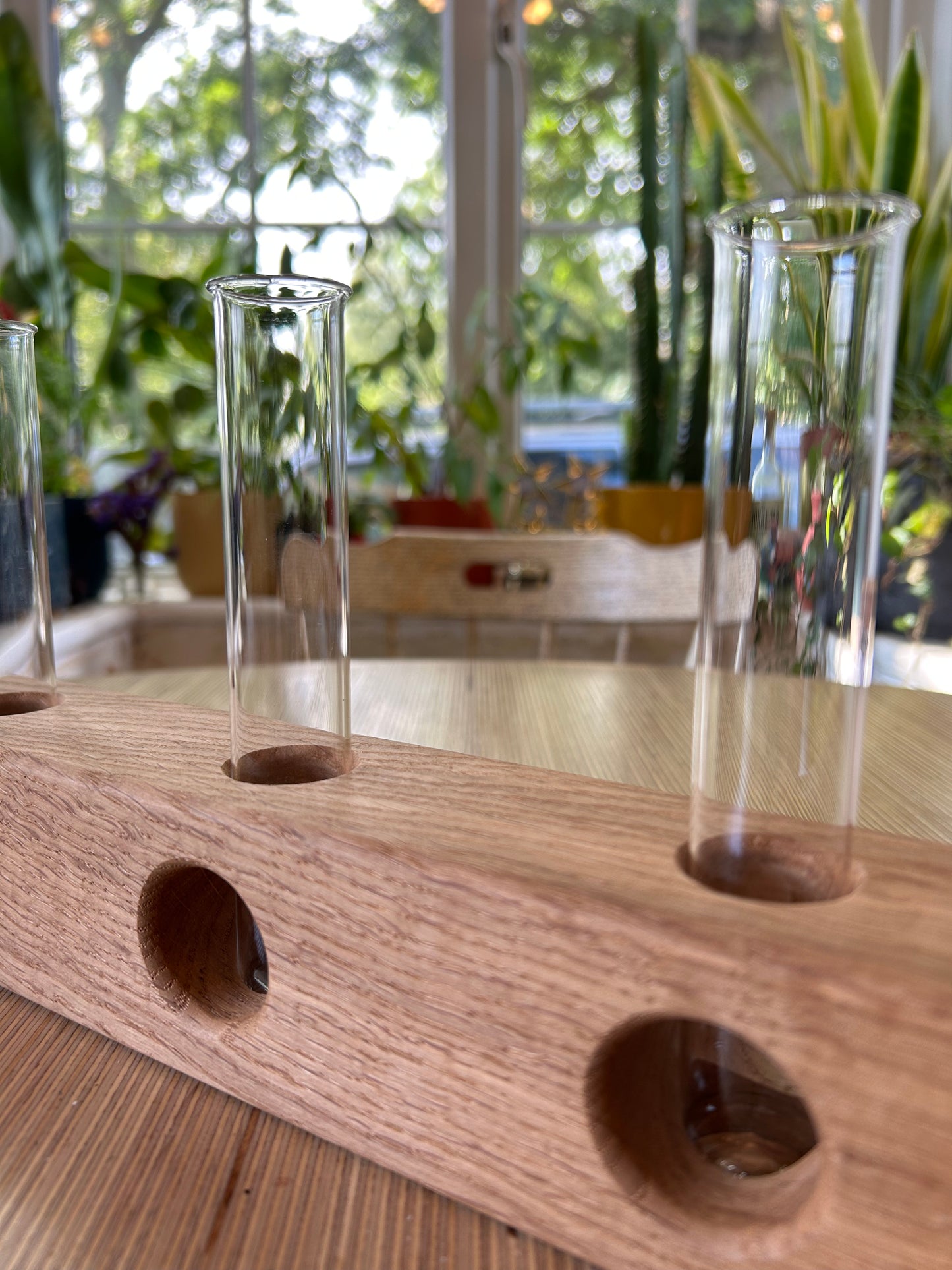 Oak Propagation Station / Vase